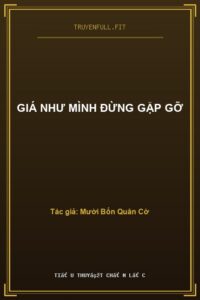 Giá Như Mình Đừng Gặp Gỡ