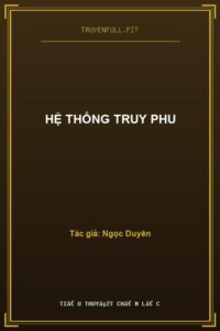 Hệ Thống Truy Phu