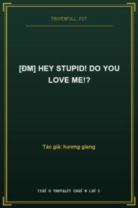 [ĐM] Hey Stupid! Do You Love Me!?