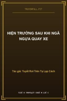 Hiện Trường Sau Khi Ngã Ngựa Quay Xe