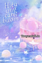 Hiệu Ứng Cánh Bướm – Thị Chanh
