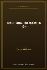 Hoắc Tổng, Tôi Muốn Từ Hôn