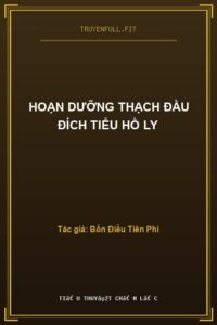 Hoạn Dưỡng Thạch Đầu Đích Tiểu Hồ Ly