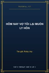 Hôm Nay Vợ Tôi Lại Muốn Ly Hôn