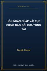 Hôn Nhân Chắp Vá! Cục Cưng Bảo Bối Của Tổng Tài
