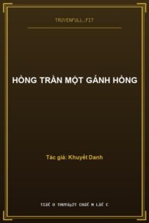 Hồng Trần Một Gánh Hồng