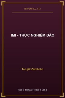 IMI – Thực Nghiệm Đảo