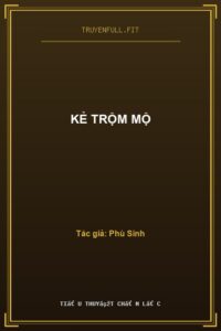 Kẻ Trộm Mộ