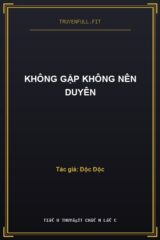 Không Gặp Không Nên Duyên