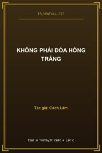 Không Phải Đóa Hồng Trắng