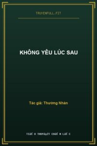 Không Yêu Lúc Sau
