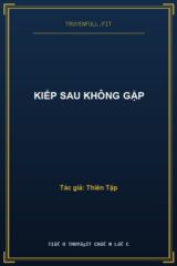 Kiếp Sau Không Gặp