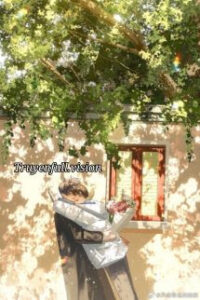 Lại Gặp Ánh Trăng – Thất Nguyệt Thanh Phong