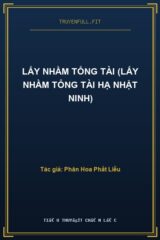 Lấy Nhầm Tổng Tài (Lấy Nhầm Tổng Tài Hạ Nhật Ninh)