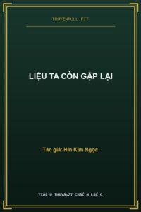 Liệu Ta Còn Gặp Lại