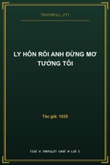 Ly Hôn Rồi Anh Đừng Mơ Tưởng Tôi