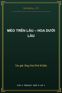 Mèo Trên Lầu – Hoa Dưới Lầu