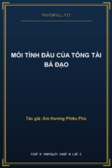 Mối Tình Đầu Của Tổng Tài Bá Đạo