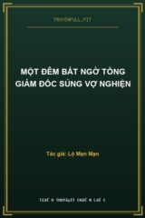 Một Đêm Bất Ngờ Tổng Giám Đốc Sủng Vợ Nghiện