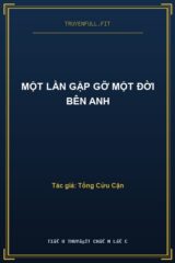 Một Lần Gặp Gỡ Một Đời Bên Anh