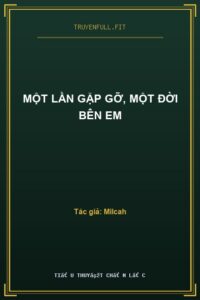 Một Lần Gặp Gỡ, Một Đời Bên Em