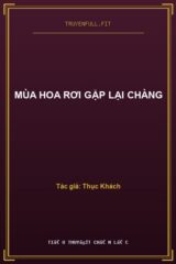 Mùa Hoa Rơi Gặp Lại Chàng