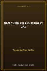 Nam Chính Xin Anh Đừng Ly Hôn