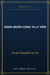 Nàng Muốn Cùng Ta Ly Hôn