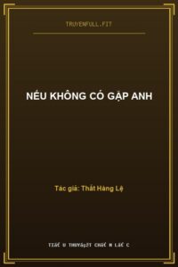 Nếu Không Có Gặp Anh