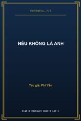 Nếu Không Là Anh
