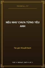 Nếu Như Chưa Từng Yêu Anh