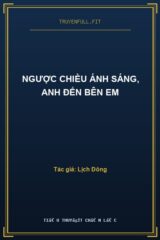 Ngược Chiều Ánh Sáng, Anh Đến Bên Em