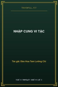 Nhập Cung Vi Tặc