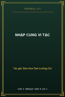 Nhập Cung Vi Tặc