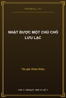 Nhặt Được Một Chú Chó Lưu Lạc