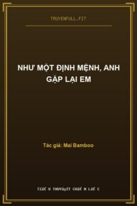 Như Một Định Mệnh, Anh Gặp Lại Em