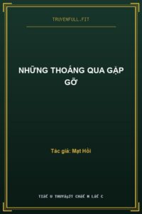 Những Thoáng Qua Gặp Gỡ