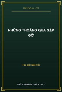 Những Thoáng Qua Gặp Gỡ