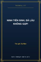 Ninh Tiên Sinh, Đã Lâu Không Gặp!