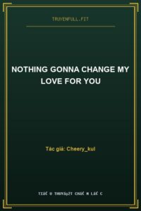 Nothing Gonna Change My Love For You