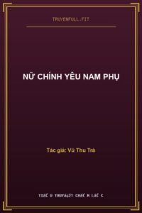 Nữ Chính Yêu Nam Phụ