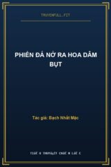 Phiến Đá Nở Ra Hoa Dâm Bụt