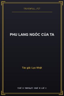 Phu Lang Ngốc Của Ta