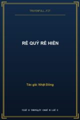 Rể Quý Rể Hiền