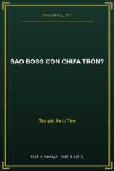 Sao Boss Còn Chưa Trốn?