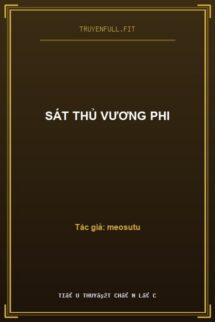 Sát Thủ Vương Phi