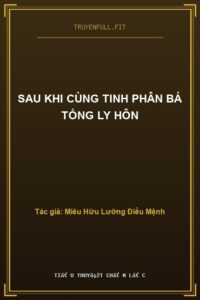 Sau Khi Cùng Tinh Phân Bá Tổng Ly Hôn