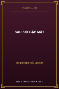 Sau Khi Gặp Mặt