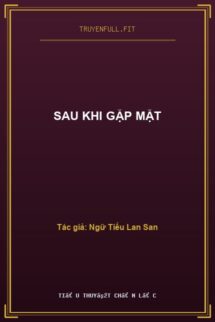 Sau Khi Gặp Mặt