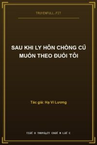 Sau Khi Ly Hôn Chồng Cũ Muốn Theo Đuổi Tôi